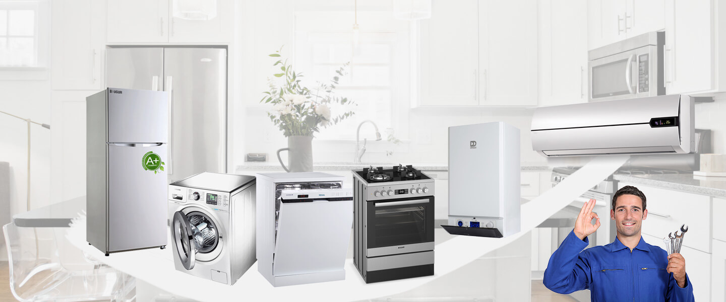 Biga Electrolux Servisi